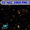 Cl* NGC 3960    PMS   20481