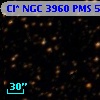 Cl* NGC 3960    PMS     552