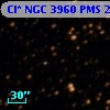 Cl* NGC 3960    PMS   23919