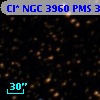 Cl* NGC 3960    PMS  301540