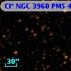 Cl* NGC 3960    PMS    4732