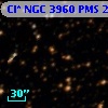 Cl* NGC 3960    PMS   22539