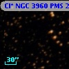 Cl* NGC 3960    PMS   22528