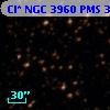 Cl* NGC 3960    PMS  300523