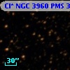 Cl* NGC 3960    PMS     341