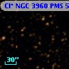 Cl* NGC 3960    PMS    5554