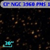 Cl* NGC 3960    PMS    1190