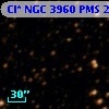 Cl* NGC 3960    PMS   23918