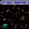 Cl* NGC 3960    PMS   20175