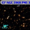 Cl* NGC 3960    PMS  301204