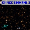 Cl* NGC 3960    PMS   20265