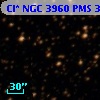 Cl* NGC 3960    PMS  300890