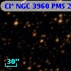 Cl* NGC 3960    PMS   24005