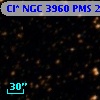 Cl* NGC 3960    PMS   24384