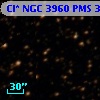 Cl* NGC 3960    PMS    3304