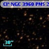 Cl* NGC 3960    PMS   20570