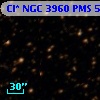Cl* NGC 3960    PMS    5480