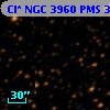 Cl* NGC 3960    PMS  301590