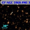 Cl* NGC 3960    PMS  301241
