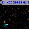 Cl* NGC 3960    PMS   21543