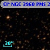 Cl* NGC 3960    PMS   24157