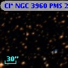 Cl* NGC 3960    PMS   23162