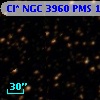 Cl* NGC 3960    PMS    1648