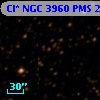 Cl* NGC 3960    PMS   24953