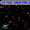 Cl* NGC 3960    PMS    5476