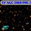 Cl* NGC 3960    PMS   21978