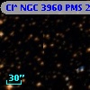 Cl* NGC 3960    PMS   21976