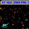 Cl* NGC 3960    PMS   26141