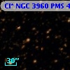 Cl* NGC 3960    PMS    4965