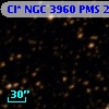 Cl* NGC 3960    PMS   24450