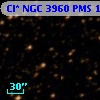 Cl* NGC 3960    PMS    1475