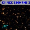 Cl* NGC 3960    PMS   24173