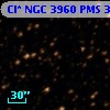 Cl* NGC 3960    PMS    3559