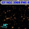 Cl* NGC 3960    PMS    4222