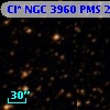 Cl* NGC 3960    PMS   24954