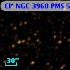 Cl* NGC 3960    PMS    5472