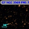Cl* NGC 3960    PMS     773