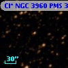 Cl* NGC 3960    PMS    3730
