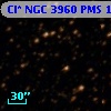 Cl* NGC 3960    PMS    1550