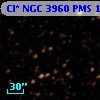 Cl* NGC 3960    PMS    1243