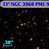Cl* NGC 3960    PMS     940