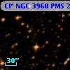 Cl* NGC 3960    PMS   21004