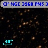 Cl* NGC 3960    PMS    3498