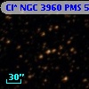 Cl* NGC 3960    PMS     548