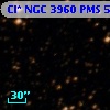 Cl* NGC 3960    PMS    5135