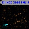 Cl* NGC 3960    PMS     847